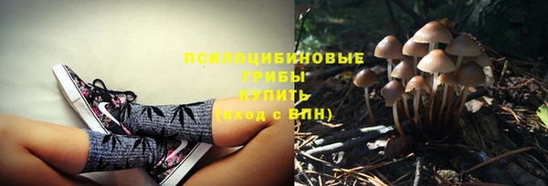кокаин премиум Ладушкин