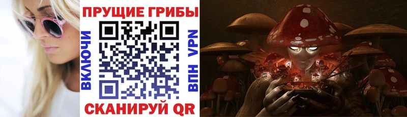 Галлюциногенные грибы прущие грибы  Купить  Киселёвск 