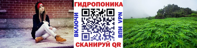Канабис SATIVA & INDICA  Купить  Киселёвск 
